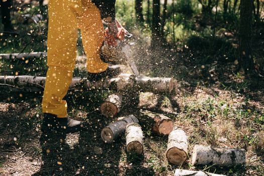 Tronçonneuses STIHL