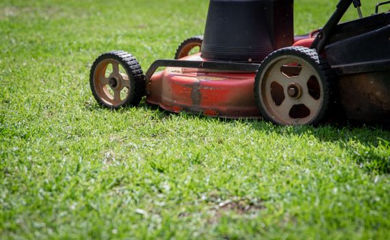 Tondeuses TORO